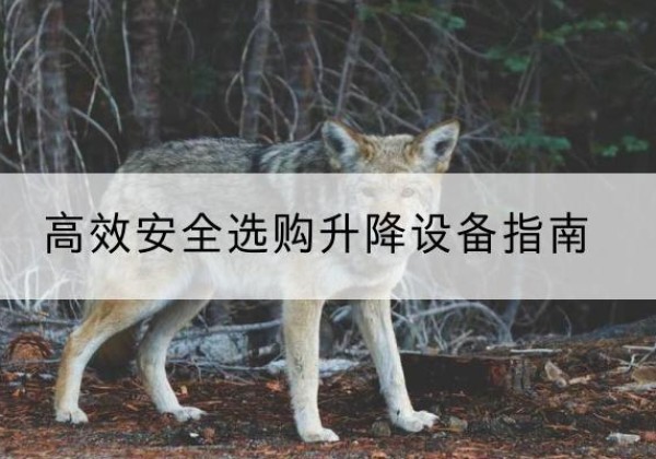 坡头升降货梯厂家推荐-*安全选购升降设备指南