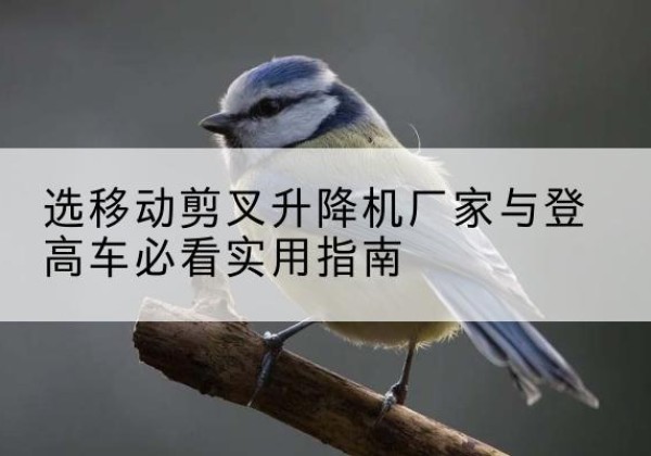 坡头电动升降机厂家-选移动剪叉升降机厂家与登高车必看实用指南