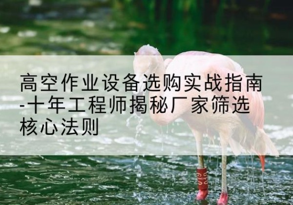 坡头剪叉式升降机厂家-高空作业设备选购实战指南-十年工程师揭秘厂家筛选核心法则
